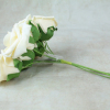 Cream With Green Stems