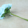 Light Blue With Green Stems