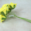 Yellow With Green Stems
