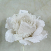 Ivory Crinoline Rose