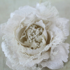 Ivory Crinoline Rose
