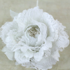 White Crinoline Rose