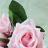 Baby Pink Silk Roses