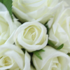 Ivory Silk Roses