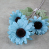 Turquoise Daisy Sunflower