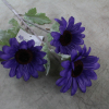 Purple Daisy Sunflower