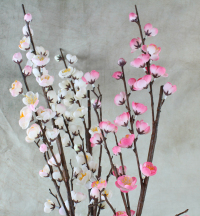 12 x 83cm Cherry Blossom Sprays