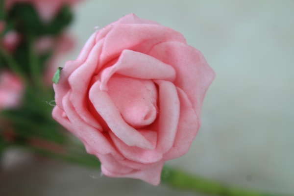 single pink foam rose stem