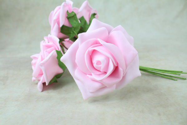 Baby Pink With Green Stems