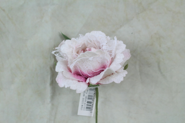 Pink Crinoline Rose