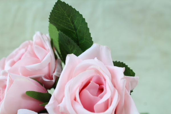 Baby Pink Silk Roses