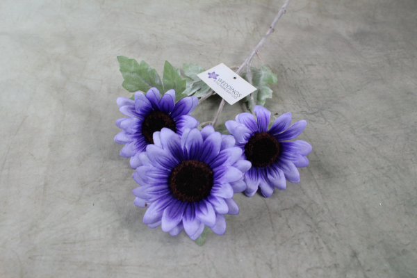Lavender Daisy Sunflower