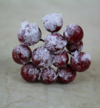 6-x-red-snowberry-bunches