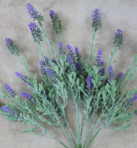 WFSF103-Lavender