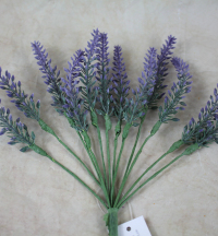 WFSF104 lavender