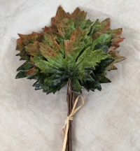 4-x-maple-leaf-bunch