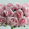 Quality Foam Roses Baby Pink.