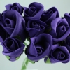 Stunning Purple Foam Rose Flowers