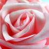 Small Pink foam Rose Pomander sold as cartons of 6