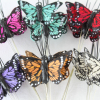 SFH5606S Butterflies