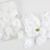 500 Rose Petals, White