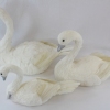3 Size Variations Of our WFH swans