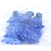 Blue Ornate Bird Pack
