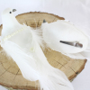 WFH100 Wedding White Doves
