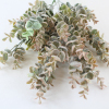 63cm Frosted Eucalyptus Bunch