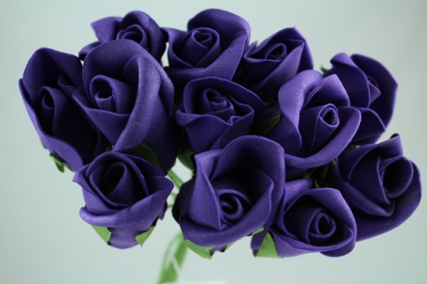 Stunning Purple Foam Rose Flowers
