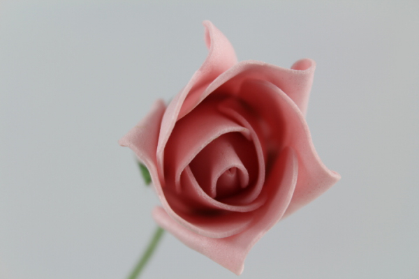 Single foam Rose bud in Vintage Pink