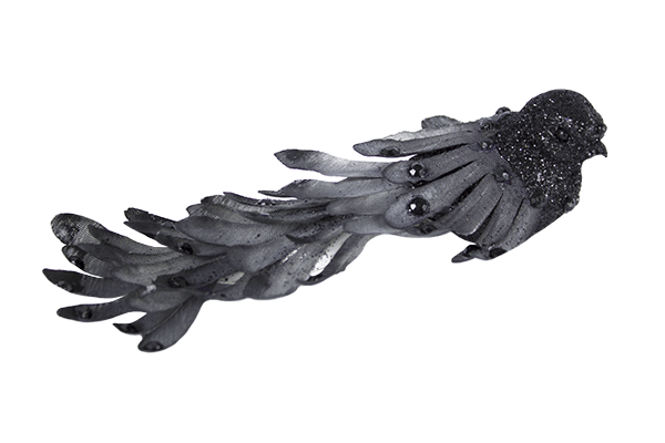 Black Ornate Bird with Plumage