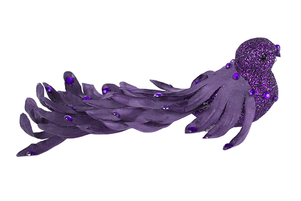 Purple Ornate Bird with Plumage