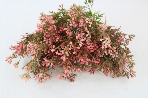 Pink Mini Wax Flower Bush