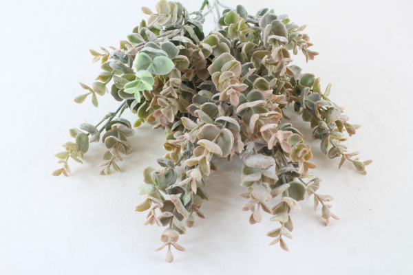 63cm Frosted Eucalyptus Bunch